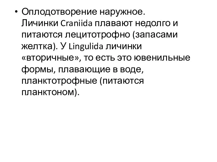 Оплодотворение наружное. Личинки Craniida плавают недолго и питаются лецитотрофно (запасами