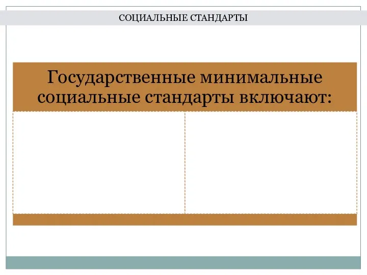 СОЦИАЛЬНЫЕ СТАНДАРТЫ