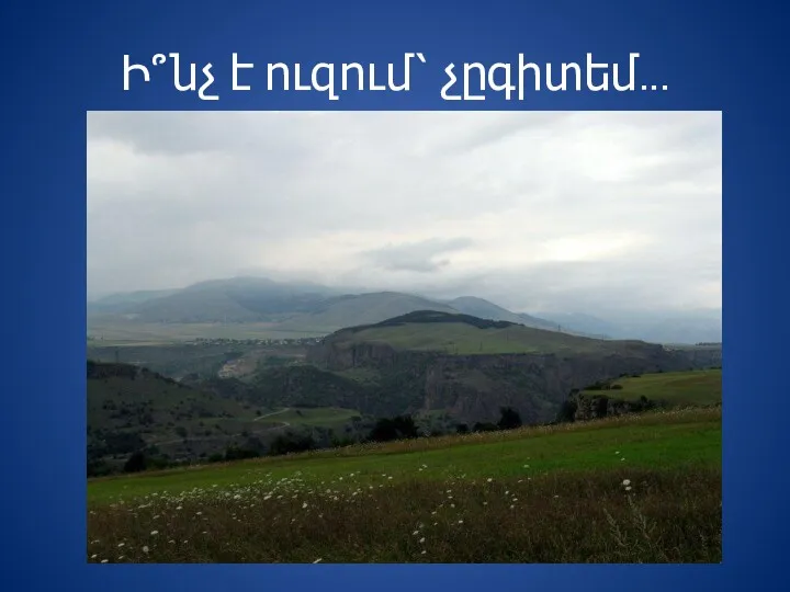 Ի՞նչ է ուզում՝ չըգիտեմ․․․