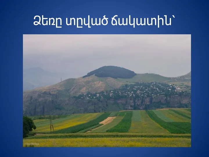 Ձեռը տըված ճակատին՝