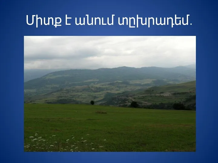 Միտք է անում տըխրադեմ․