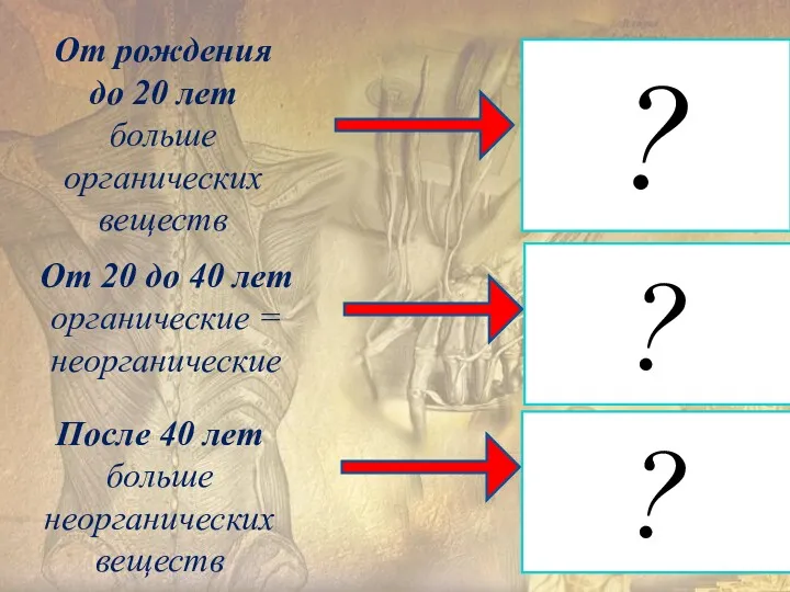 От рождения до 20 лет больше органических веществ детские кости редко ломаются, но