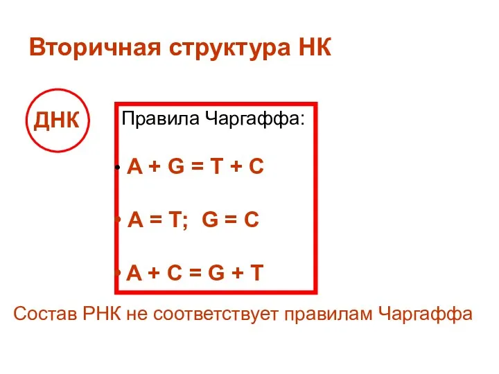 Вторичная структура НК ДНК Правила Чаргаффа: А + G =