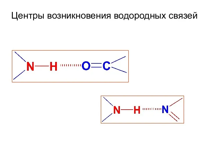 Центры возникновения водородных связей