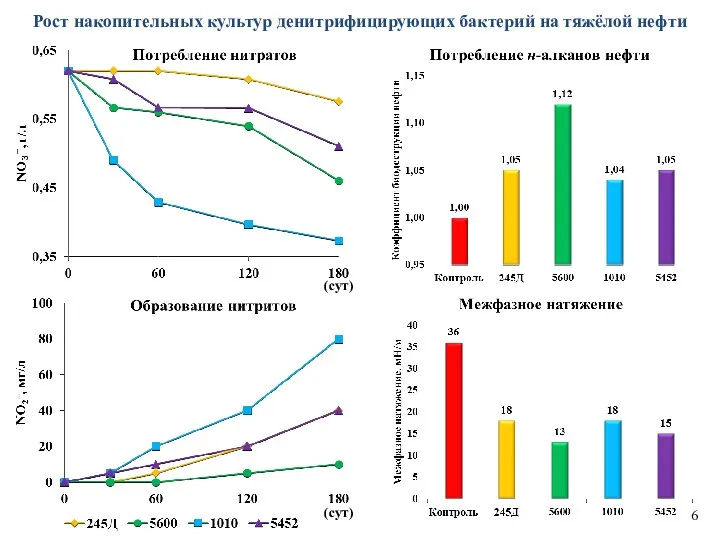 Рост накопительных культур денитрифицирующих бактерий на тяжёлой нефти (сут) (сут) 6