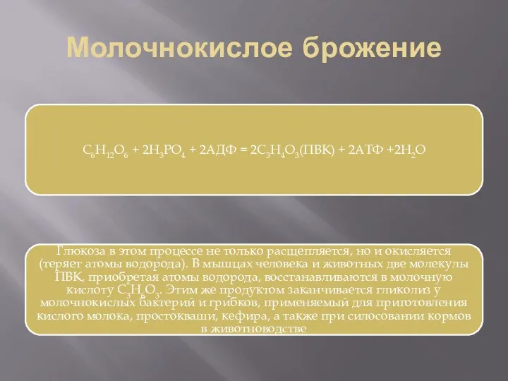 Молочнокислое брожение C6H12O6 + 2H3PO4 + 2АДФ = 2C3H4O3(ПВК) + 2АТФ +2H2O Глюкоза