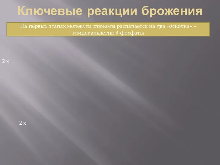 Ключевые реакции брожения 2 х 2 х На первых этапах молекула глюкозы распадается