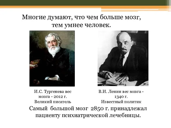 И.С. Тургенева вес мозга - 2012 г. Великий писатель В.И. Ленин вес мозга