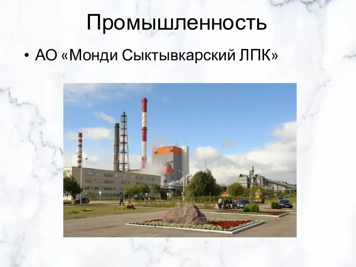 Промышленность АО «Монди Сыктывкарский ЛПК»