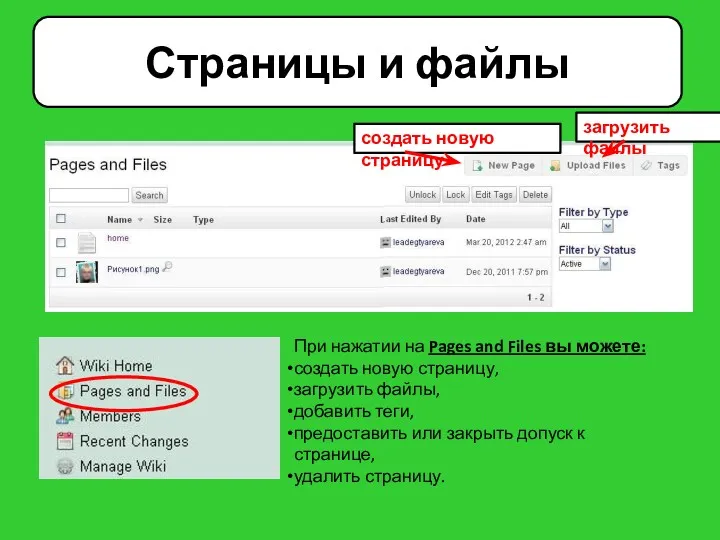 Страницы и файлы При нажатии на Pages and Files вы