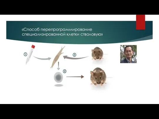 «Способ перепрограммирование специализированной клетки стволовую»