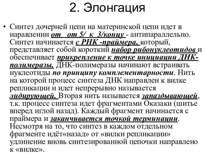 2. Элонгация Синтез дочерней цепи на материнской цепи идет в