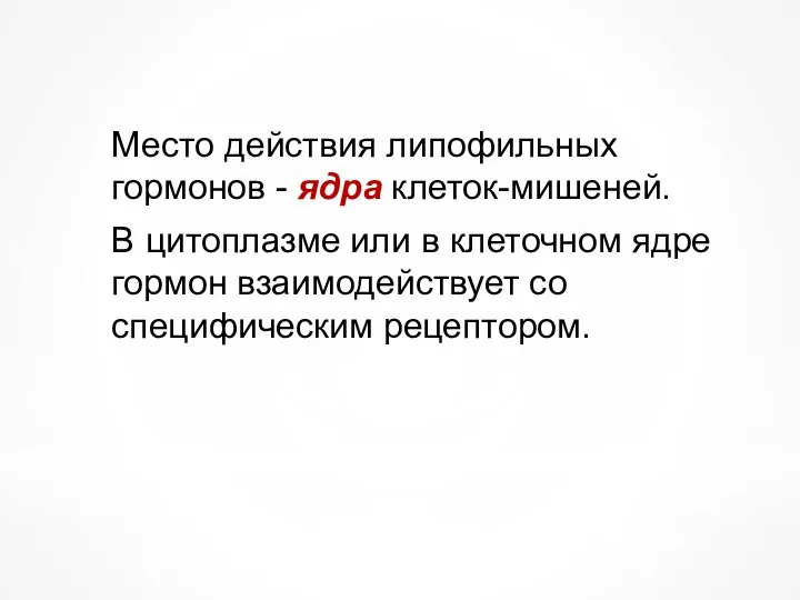 Место действия липофильных гормонов - ядра клеток-мишеней. В цитоплазме или