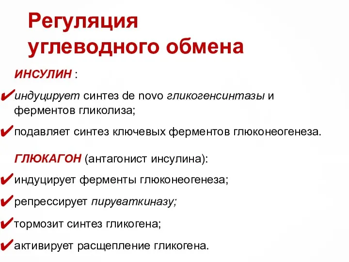 Регуляция углеводного обмена ИНСУЛИН : индуцирует синтез de novo гликогенсинтазы