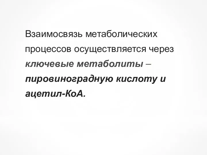 Взаимосвязь метаболических процессов осуществляется через ключевые метаболиты – пировиноградную кислоту и ацетил-КоА.