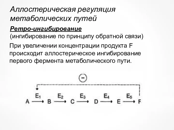 Аллостерическая регуляция метаболических путей Ретро-ингибирование (ингибирование по принципу обратной связи)