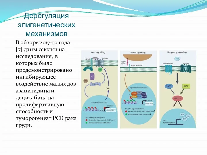 Дерегуляция эпигенетических механизмов В обзоре 2017-го года [7] даны ссылки