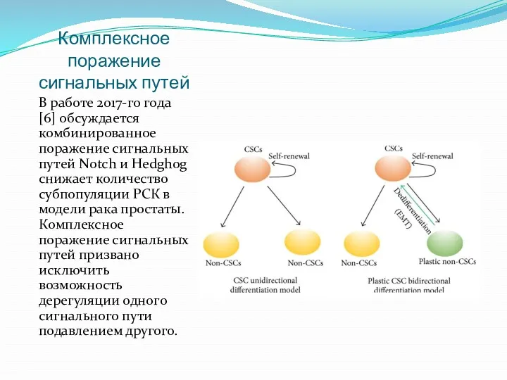 Комплексное поражение сигнальных путей В работе 2017-го года [6] обсуждается