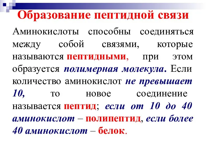 Образование пептидной связи Аминокислоты способны соединяться между собой связями, которые