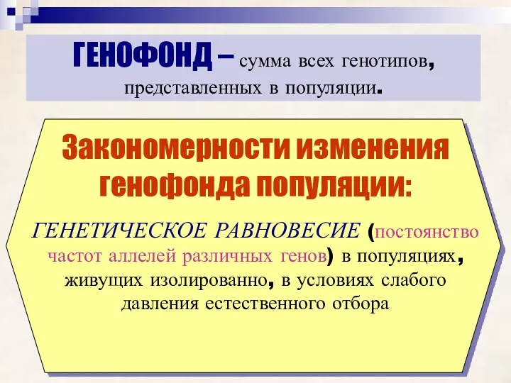 ГЕНОФОНД – сумма всех генотипов, представленных в популяции. Закономерности изменения