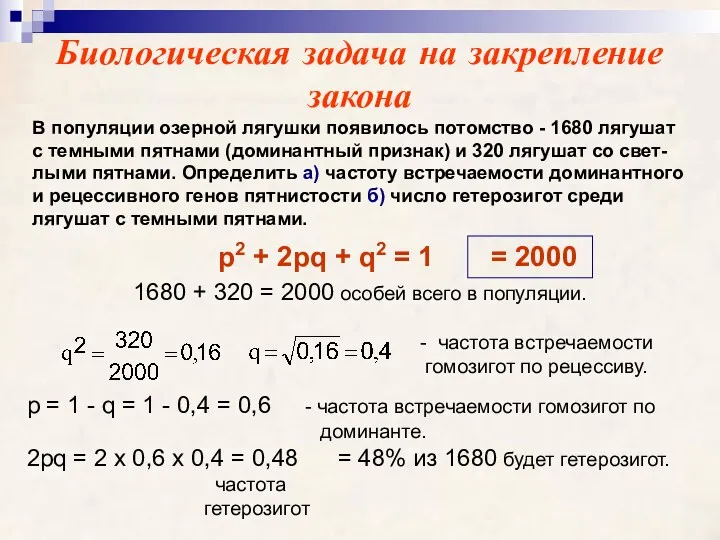 Биологическая задача на закрепление закона В популяции озерной лягушки появилось