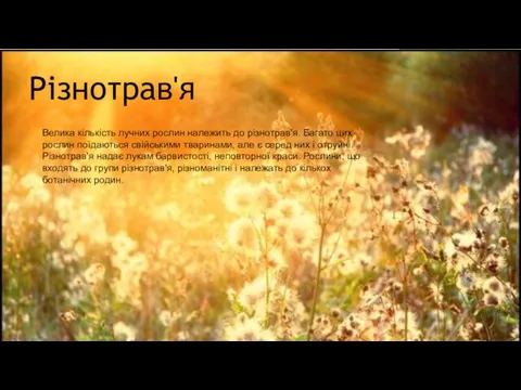 Велика кількість лучних рослин належить до різнотрав'я. Багато цих рослин