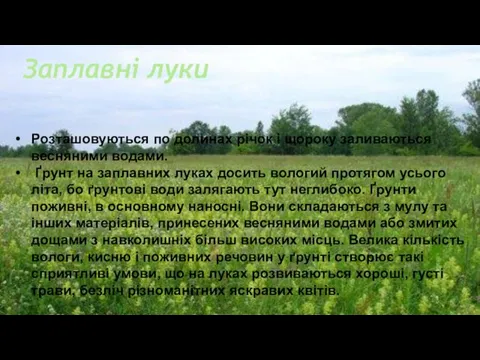 Заплавні луки Розташовуються по долинах річок і щороку заливаються весняними