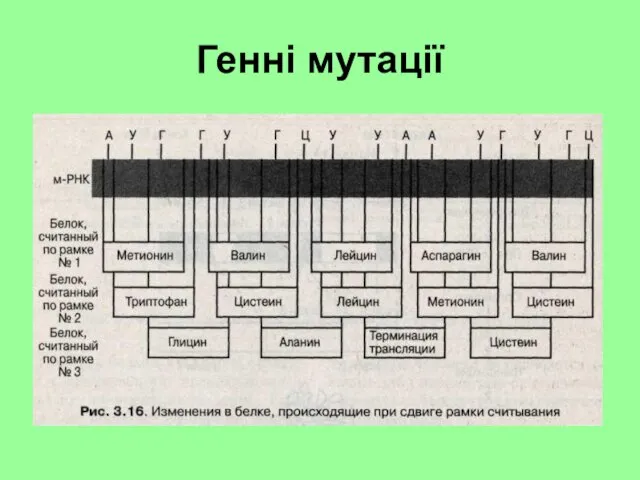 Генні мутації