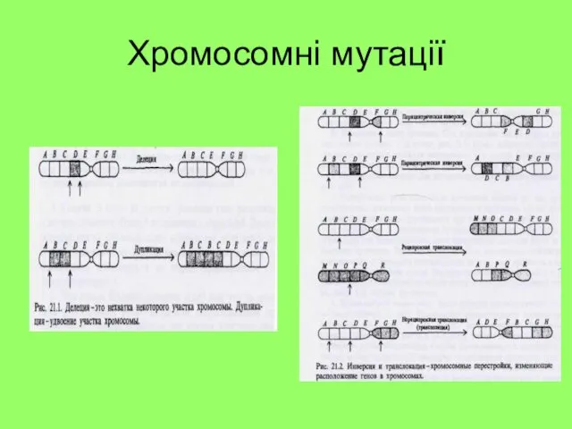 Хромосомні мутації