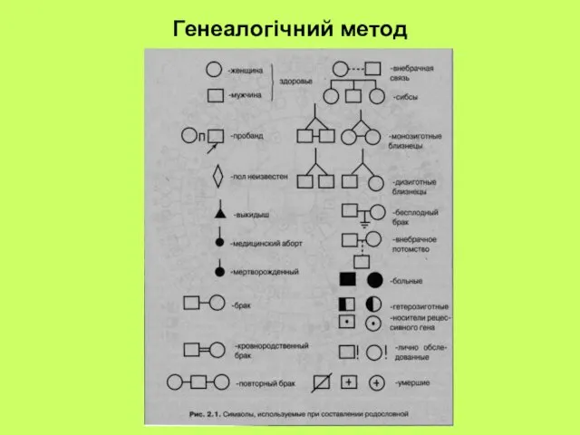 Генеалогічний метод