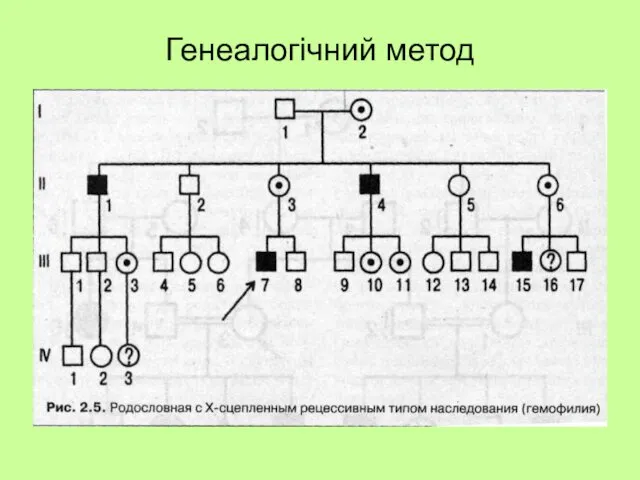 Генеалогічний метод