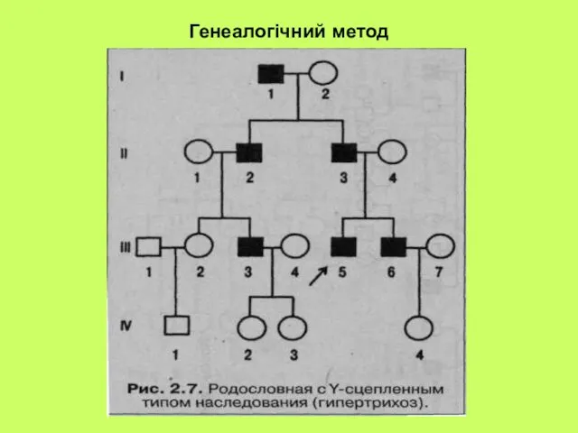 Генеалогічний метод