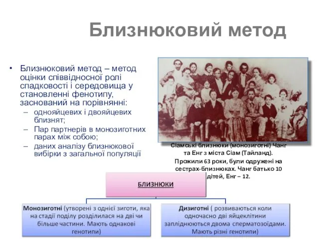 Близнюковий метод Близнюковий метод – метод оцінки співвідносної ролі спадковості