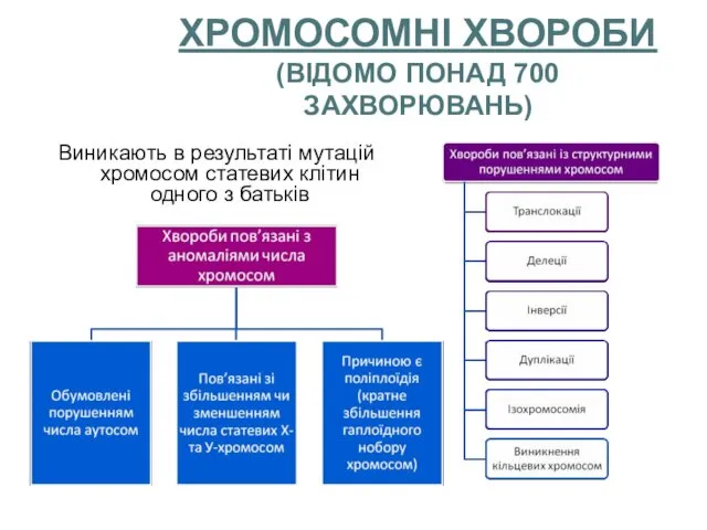 ХРОМОСОМНІ ХВОРОБИ (ВІДОМО ПОНАД 700 ЗАХВОРЮВАНЬ) Виникають в результаті мутацій хромосом статевих клітин одного з батьків