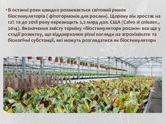 В останні роки швидко розвивається світовий ринок біостимуляторів ( фітогормонів