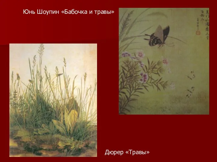 Дюрер «Травы» Юнь Шоупин «Бабочка и травы»