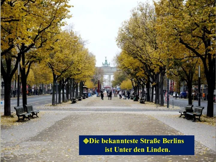 Die bekannteste Straße Berlins ist Unter den Linden.