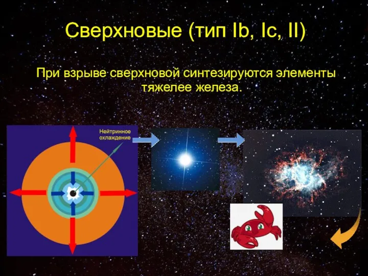 Сверхновые (тип Ib, Ic, II) При взрыве сверхновой синтезируются элементы тяжелее железа.