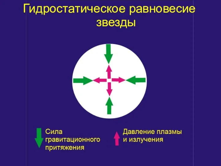 Гидростатическое равновесие звезды