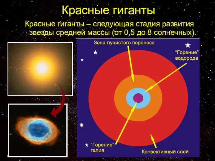 Красные гиганты Красные гиганты – следующая стадия развития звезды средней массы (от 0,5 до 8 солнечных).