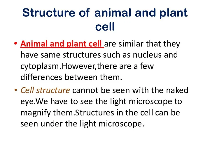 Structure of animal and plant cell Animal and plant cell