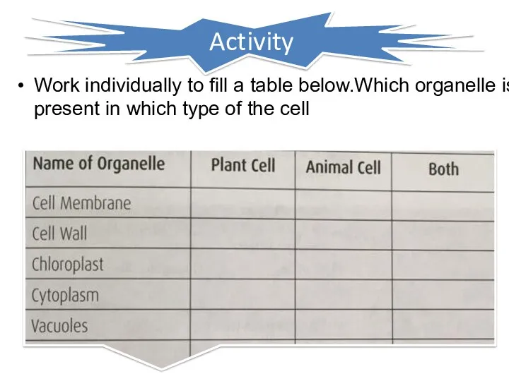 Activity Work individually to fill a table below.Which organelle is