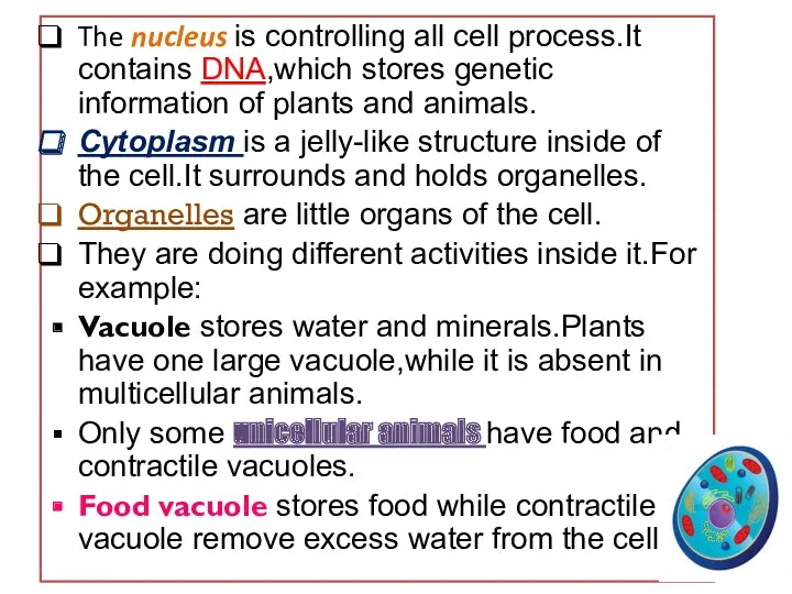 The nucleus is controlling all cell process.It contains DNA,which stores