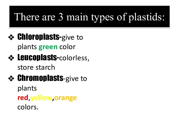 There are 3 main types of plastids: Chloroplasts-give to plants