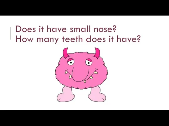 Does it have small nose? How many teeth does it have?