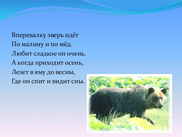 Вперевалку зверь идёт По малину и по мёд. Любит сладкое