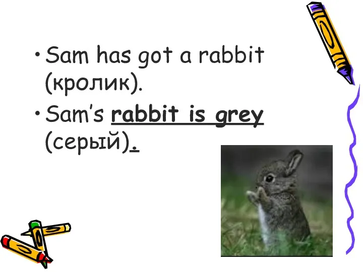 Sam has got a rabbit (кролик). Sam’s rabbit is grey (серый).