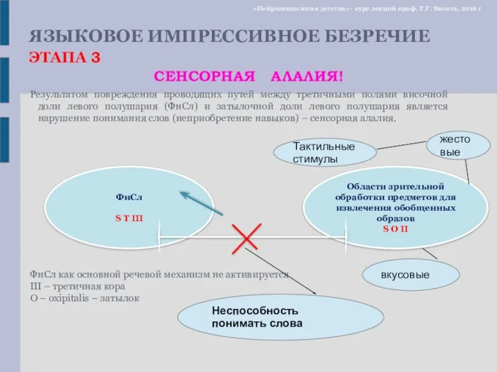 Результатом повреждения проводящих путей между третичными полями височной доли левого