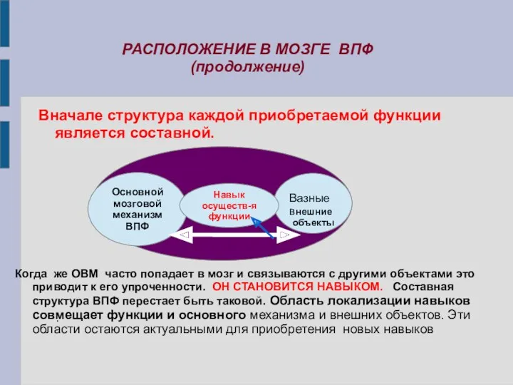 Вначале структура каждой приобретаемой функции является составной. Основной мозговой механизм