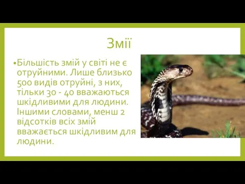 Змії Більшість змій у світі не є отруйними. Лише близько